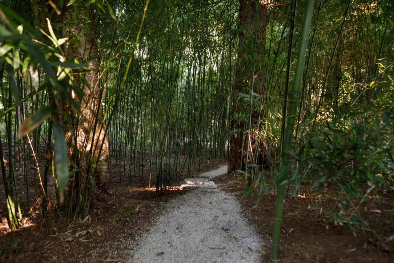 Finca La Peniga Mazcuerras Eksteriør billede